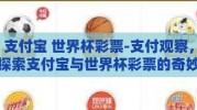 支付宝 世界杯彩票-支付观察，探索支付宝与世界杯彩票的奇妙结合