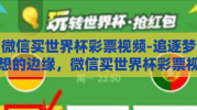微信买世界杯彩票视频-追逐梦想的边缘，微信买世界杯彩票视频的诱惑与风险