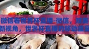 微信看世界杯直播-微信，观赛新视角，世界杯直播的移动盛宴