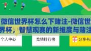 微信世界杯怎么下赌注-微信世界杯，智慧观赛的新维度与赌注的审慎考量
