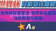 世界杯彩票买法-世界杯彩票投注的智慧与策略