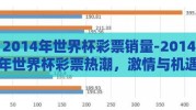 2014年世界杯彩票销量-2014年世界杯彩票热潮，激情与机遇的交汇点