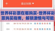 世界杯彩票在哪购买-世界杯彩票购买指南，解锁激情与可能