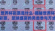 世界杯彩票是什么-揭秘世界杯彩票，足球盛宴的另类参与方式