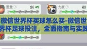 微信世界杯买球怎么买-微信世界杯足球投注，全面指南与实践操作