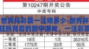 世界杯彩票一注赔多少-世界杯狂热背后的数字游戏，一注彩票的赔率奥秘