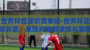 世界杯足球彩票单场-世界杯足球彩票，单场对赌的激情与策略