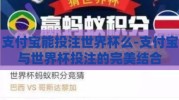 支付宝能投注世界杯么-支付宝与世界杯投注的完美结合