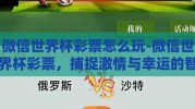 微信世界杯彩票怎么玩-微信世界杯彩票，捕捉激情与幸运的智慧