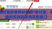 支付宝买世界杯彩票-支付宝，便捷的足球彩票购买新窗口