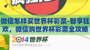 微信怎样买世界杯彩票-智享狂欢，微信购世界杯彩票全攻略