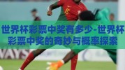 世界杯彩票中奖有多少-世界杯彩票中奖的奇妙与概率探索