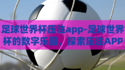 足球世界杯压注app-足球世界杯的数字乐园，探索压注APP的绚丽舞台