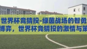 世界杯竞猜投-绿茵战场的智勇博弈，世界杯竞猜投的激情与策略