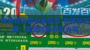 世界杯彩票中奖信息-世界杯彩票，梦想与机遇的火花