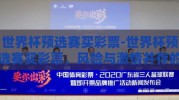 世界杯预选赛买彩票-世界杯预选赛买彩票，风险与激情并存的选择