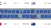 世界杯在哪儿买彩票-世界杯彩票购买指南，明智选择，稳妥投注