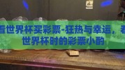 看世界杯买彩票-狂热与幸运，看世界杯时的彩票小酌