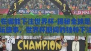 在哪能下注世界杯-揭秘全球足坛盛事，世界杯期间的独特下注体验
