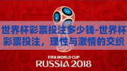 世界杯彩票投注多少钱-世界杯彩票投注，理性与激情的交织