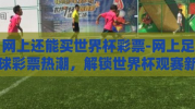 网上还能买世界杯彩票-网上足球彩票热潮，解锁世界杯观赛新体验及风险解读