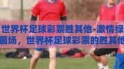 世界杯足球彩票胜其他-激情绿茵场，世界杯足球彩票的胜其他悬念