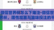 微信世界杯怎么下赌注-微信世界杯，理性观赛与趣味投注的平衡