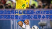 微信世界杯在哪里买-2022世界杯观赛指南，微信小程序中平添乐趣的购买通道