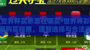 世界杯买彩票在哪买-世界杯彩票购买指南，理智选择与合法渠道