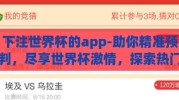 下注世界杯的app-助你精准预判，尽享世界杯激情，探索热门世界杯下注App