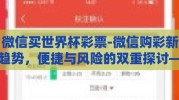 微信买世界杯彩票-微信购彩新趋势，便捷与风险的双重探讨——世界杯期间微信买彩票的利弊分析