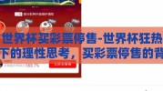 世界杯买彩票停售-世界杯狂热下的理性思考，买彩票停售的背后洞察