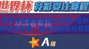 世界杯足球彩票网上购买-世界杯足球彩票，网上的激情与智慧碰撞