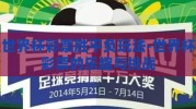 世界杯彩票胜平负玩法-世界杯彩票的乐趣与挑战