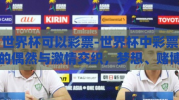 世界杯可以彩票-世界杯中彩票的偶然与激情交织，梦想、赌博与娱乐的边界探讨
