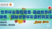 世界杯彩票在哪里-营造世界杯激情，揭秘世界杯彩票的购买渠道与玩法