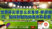 世界杯彩票怎么买靠谱-掌控技巧，如何明智选购世界杯彩票