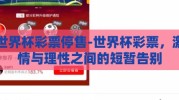 世界杯彩票停售-世界杯彩票，激情与理性之间的短暂告别
