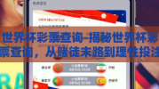 世界杯彩票查询-揭秘世界杯彩票查询，从赌徒末路到理性投注的智慧之旅