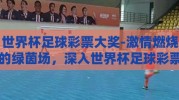 世界杯足球彩票大奖-激情燃烧的绿茵场，深入世界杯足球彩票大奖的全球热潮