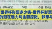 世界杯彩票多少钱-世界杯彩票的潜在魅力与金额探微，梦想与现实交织的数字游戏