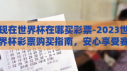 现在世界杯在哪买彩票-2023世界杯彩票购买指南，安心享受赛事激情与幸运在线投注