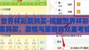 世界杯彩票购买-揭秘世界杯彩票购买，激情与策略的双重考验