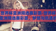 世界杯亚洲预选赛彩票-世界杯亚洲预选赛彩票，梦想与机遇的交汇点