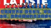 在哪赌世界杯-理性参与，审慎选择，世界杯期间的合法观赛与娱乐方式