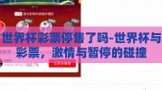 世界杯彩票停售了吗-世界杯与彩票，激情与暂停的碰撞