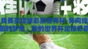 我要买足球彩票世界杯-奔向绿茵的梦想，我的世界杯足球彩票之旅