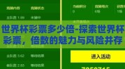 世界杯彩票多少倍-探索世界杯彩票，倍数的魅力与风险并存