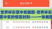 世界杯彩票中奖截图-世界杯彩票中奖的惊喜时刻——一张截图背后的故事