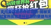 支付宝买世界杯彩票吗-揭秘支付宝购买世界杯彩票的便捷与风险